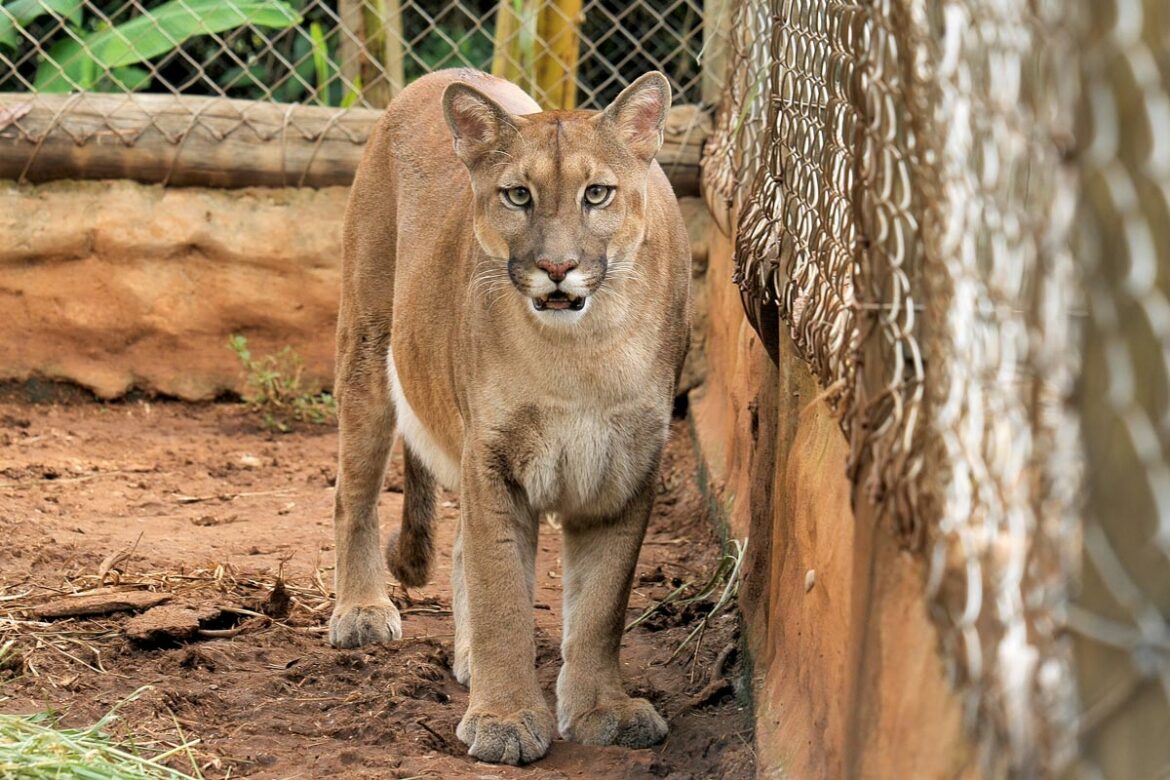 Reserva Bio Park - Agência Galeria Artes - Bonito/MS