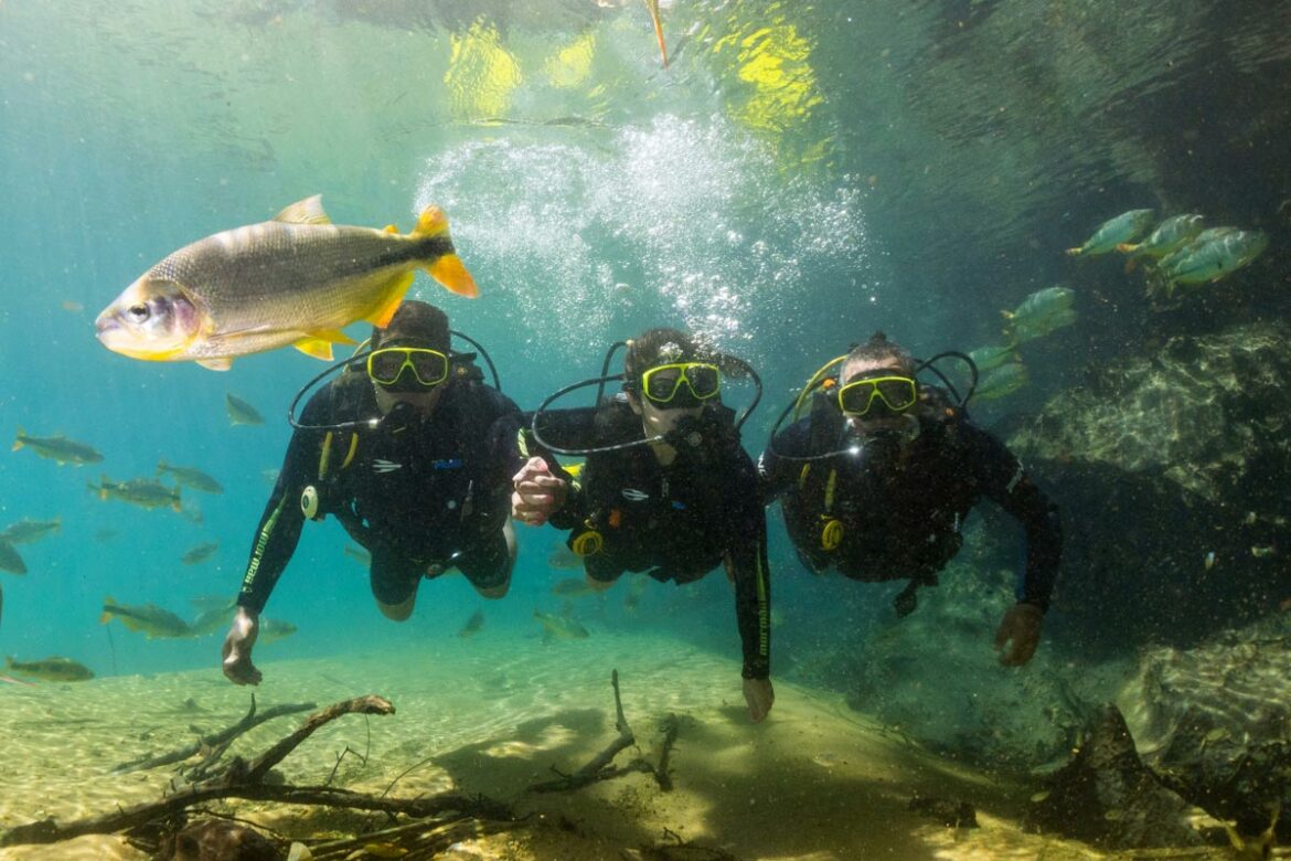 Mergulho com Cilindro no Rio da Prata - Agência Galeria Artes - Bonito/MS - Foto: Daniel de Granville