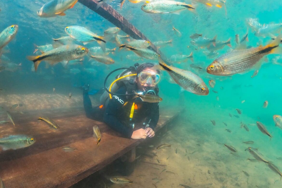 Museu Subaquático Nascente Azul - Agência Galeria Artes - Bonito/MS